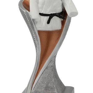 Figurină rășină arte marțiale (cod intern 1789)